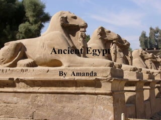 Ancient Egypt By  Amanda  