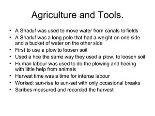 Agriculture and Tools. A Shaduf was used to move water from canals to fields A Shaduf was a long pole that had a weight on one side and a bucket of water on the other side First to use a plow to loosen soil Used a hoe the same way they used a plow, to loosen soil Human labour was used to do the plowing and hoeing with little help from animals Harvest time was a time for intense labour Worked: sun-rise to sun-set with only occasional breaks Scribes measured and recorded the harvest 