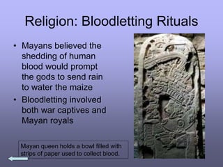 Religion: Bloodletting Rituals
• Mayans believed the
shedding of human
blood would prompt
the gods to send rain
to water the maize
• Bloodletting involved
both war captives and
Mayan royals
Mayan queen holds a bowl filled with
strips of paper used to collect blood.
 