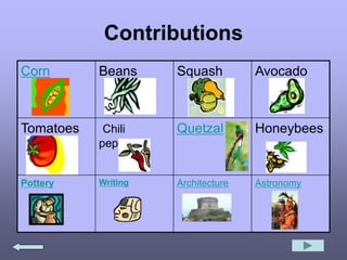 Contributions
Corn Beans Squash Avocado
Tomatoes Chili
peppers
Quetzal Honeybees
Pottery Writing Architecture Astronomy
 