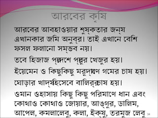 আরেবর কৃিষ
আরেবর আবহাওয়ার শুষ্কতার জনয্
।এখানকার জিম অনুবর্র তাই এখােন েবিশ
।ফসল ফলােনা সম্ভব নয়
।তেব িহজাজ পর্েদেশ পর্চুর েখজুর হয়
।ইেয়েমন ও িকছুিকছু মরুদয্ােণ গেমর চাষ হয়
।েঘাড়ার খাদয্ িহেসেব বািলরর্ চাষ হয়
ওমান ওহাসায় িকছু িকছু পিরমােণ ধান এবং
েকাথাও েকাথাও েজায়ার, আঙ্গুর, ডািলম,
আেপল, কমলােলবু, কলা, ইক্ষু, তরমুজ েলবু 34
 