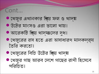 Cont…
 ।েখজুর এখানকার িপর্য় ফল ও খাদয্
 ।উেটর মাংসও এরা ভােলা খায়
 ।আেরকিট িপর্য় খাদয্ এেদর দুধ
েখজুেরর রস হেত এরা অসাধারণ মাদকদর্বয্
।ৈতির করেতা
 ।েখজুেরর িবিচ উেটর িপর্য় খাদয্
েখজুর গাছ আরব েদেশ গােছর রাণী িহেসেব
।পিরিচত
35
 