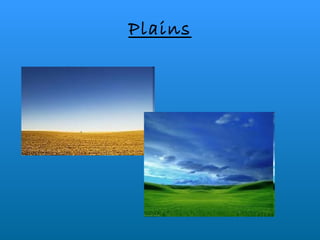Plains 
