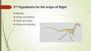 Ancient birds and the Evolution of flight by Nawal and Tahaa | PPTX