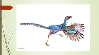 Ancient birds and the Evolution of flight by Nawal and Tahaa | PPTX