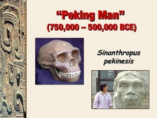 ““Peking Man”Peking Man”
(750,000 – 500,000 BCE)(750,000 – 500,000 BCE)
SinanthropusSinanthropus
pekinesispekinesis
 