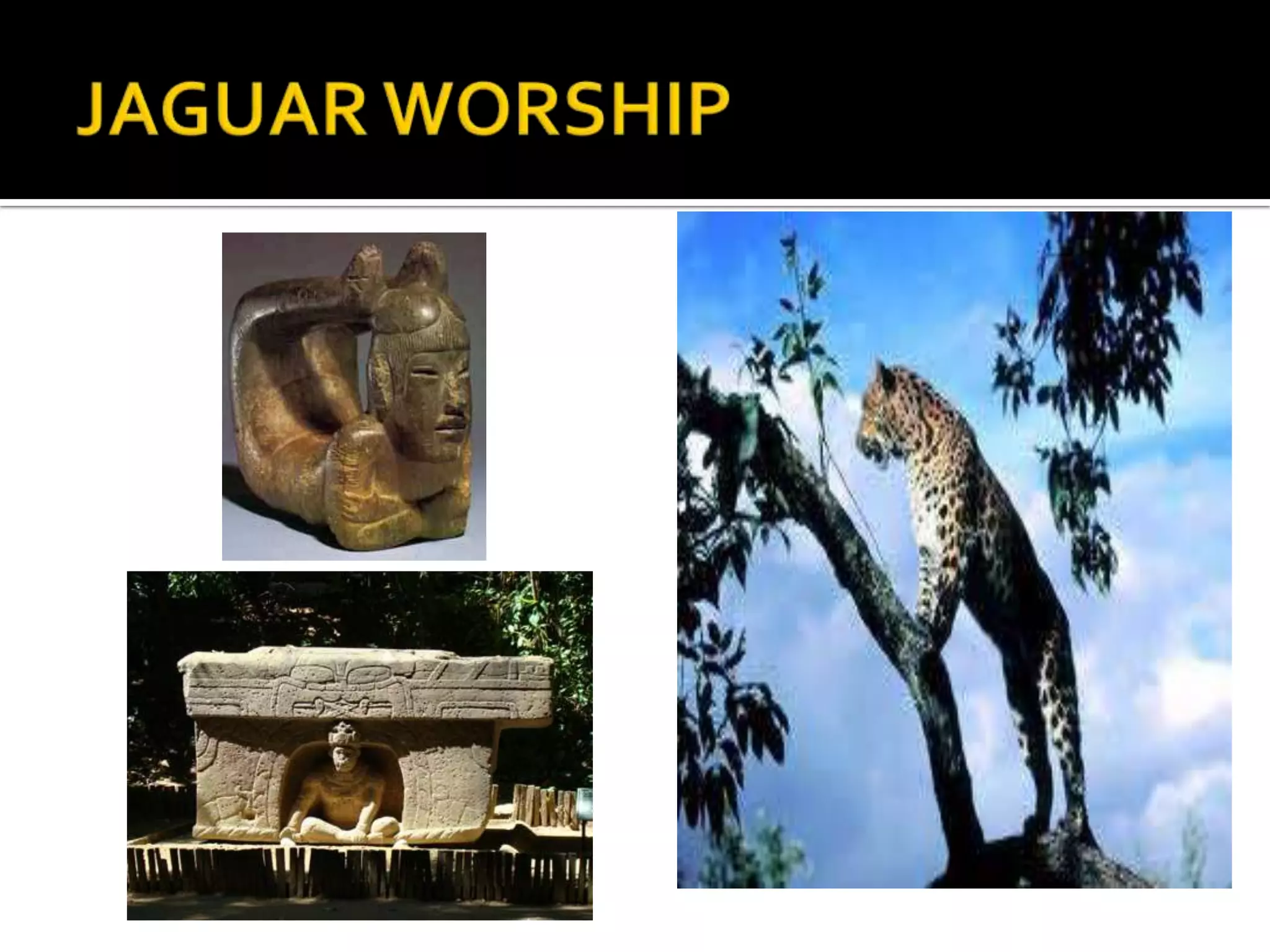 JAGUAR WORSHIP