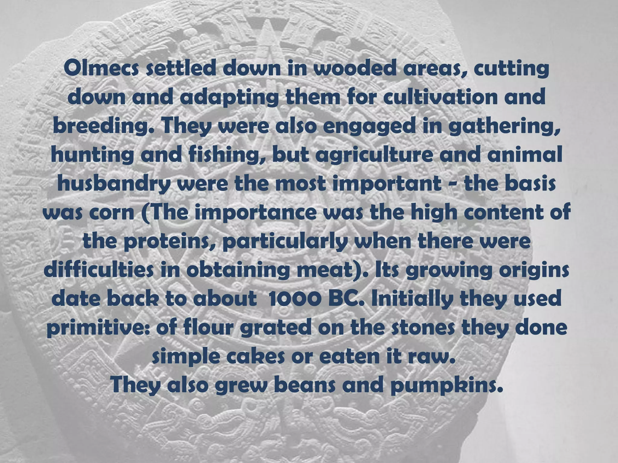 Olmecs settled down in wooded areas, cutting
  down and adapting them for cultivation and
 breeding. They were also engaged in gathering,
hunting and fishing, but agriculture and animal
 husbandry were the most important - the basis
was corn (The importance was the high content of
    the proteins, particularly when there were
difficulties in obtaining meat). Its growing origins
 date back to about 1000 BC. Initially they used
primitive: of flour grated on the stones they done
            simple cakes or eaten it raw.
       They also grew beans and pumpkins.
 
