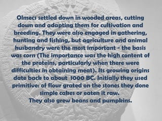 Olmecs settled down in wooded areas, cutting
  down and adapting them for cultivation and
 breeding. They were also engaged in gathering,
hunting and fishing, but agriculture and animal
 husbandry were the most important - the basis
was corn (The importance was the high content of
    the proteins, particularly when there were
difficulties in obtaining meat). Its growing origins
 date back to about 1000 BC. Initially they used
primitive: of flour grated on the stones they done
            simple cakes or eaten it raw.
       They also grew beans and pumpkins.
 