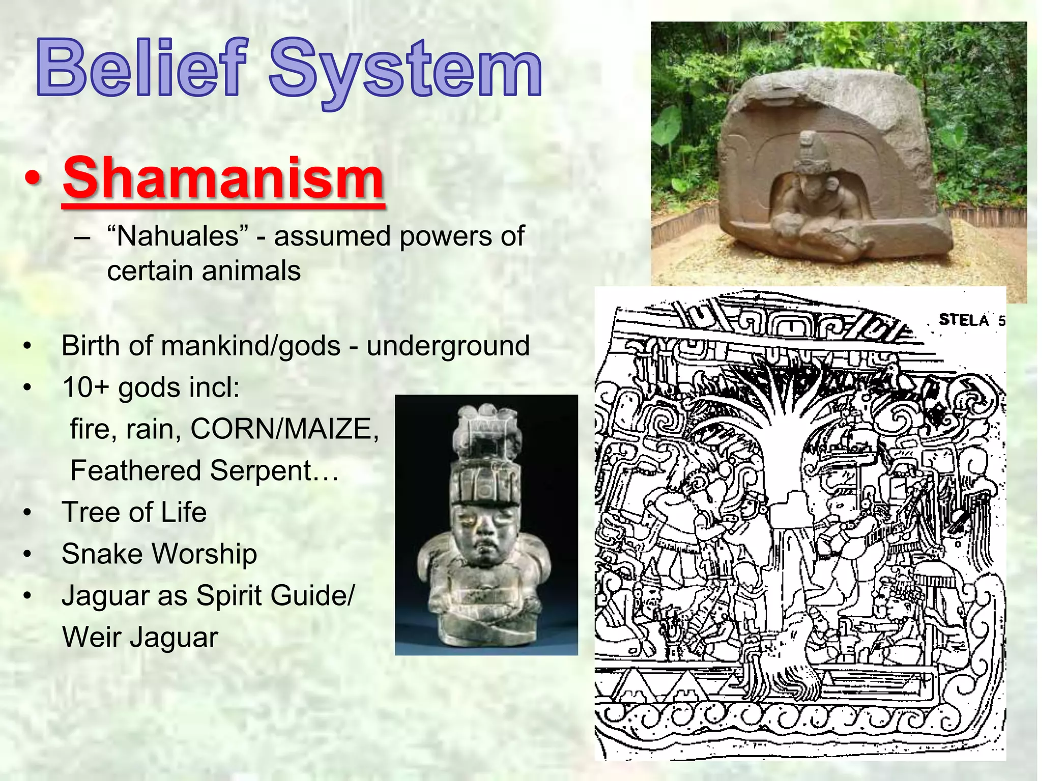 • Shamanism 
– “Nahuales” - assumed powers of 
certain animals 
• Birth of mankind/gods - underground 
• 10+ gods incl: 
fire, rain, CORN/MAIZE, 
Feathered Serpent… 
• Tree of Life 
• Snake Worship 
• Jaguar as Spirit Guide/ 
Weir Jaguar 
 