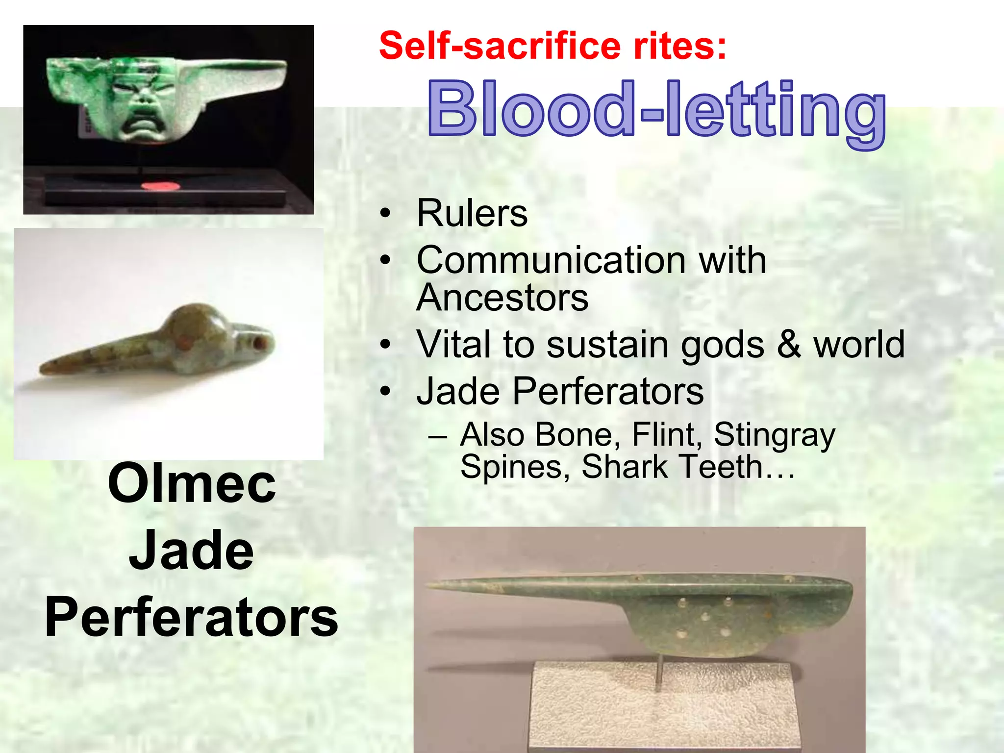 Olmec 
Jade 
Perferators 
Self-sacrifice rites: 
• Rulers 
• Communication with 
Ancestors 
• Vital to sustain gods & world 
• Jade Perferators 
– Also Bone, Flint, Stingray 
Spines, Shark Teeth… 
•Height: 38 cm 
Width: 3 cm 
 