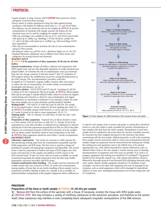 PROTOCOL
                                                                       . Liquid nitrogen, if using a freezer mill ! CAUTION Wear protective clothes
                                                                        and gloves to prevent freeze burning.                                                           Day 1            Before extraction: buffer preparation
                                                                       . Rotary wheel, or similar equipment to keep the tubes agitated during
                                                                        incubation, with holders for different sized tubes (2-, 15- and 50-ml tubes)
                                                                       . Two balances, one for chemicals and one for samples m CRITICAL To prevent
                                                                                                                                                                                         Steps 1–5: Sample preparation
                                                                         contamination of chemicals with sample material, the balance for the                                       Remove the surface, cut out a piece, grind and
                                                                         chemicals must not be used for weighing the samples and vice versa.                                                  weigh powder into tube
                                                                       . Table top centrifuges: one suitable for the use of 15- and 50-ml conical tubes
                                                                         with speed up to 5,000g (e.g., Multifuge 3 S from Heraeus), another for
                                                                         1.5- and 2-ml tubes with speed up to 16,000g (e.g., Microcentrifuge 5415D
                                                                         from Eppendorf)                                                                                                      Steps 6–8: DNA release
                                                                       . Filter tips are recommended to minimize the risk of cross-contamination                                         Add extraction solution and incubate
                                                                                                                                                                                               with agitation overnight
                                                                         owing to DNA aerosols.                                                                                           Do not forget negative control(s)!
                                                                       . pH indicator strips (e.g., pH-Fix 3.6-6.1, Macherey-Nagel, art. no. 921 30)
                                                                       . Standard laboratory equipment such as different sized tubes, freezer and
© 2007 Nature Publishing Group http://www.nature.com/natureprotocols




                                                                         refrigerator for storing extracts and chemicals.
                                                                       REAGENT SETUP
                                                                          TIMING 5 h for preparation of silica suspension, 30–60 min for all other                     Day 2                  Steps 9–11: DNA binding
                                                                       buffers                                                                                                  Transfer the supernatant to 4 volumes of binding buffer,
                                                                       General considerations Prepare all buffers, solutions and suspensions with                                    add silica suspension, adjust pH to ~4.0 and
                                                                                                                                                                                             incubate with agitation for 3 h
                                                                       HPLC-grade water and use only disposable equipment to weigh chemicals and
                                                                       prepare buffers. To minimize the risk of contamination, never put chemicals
                                                                       back into the storage container. It has been shown33 that UV irradiation of
                                                                       PCR reagents reduces the ampliﬁcation success by causing blocking lesions in
                                                                                                                                                                                               Steps 12–22: Washing
                                                                       the DNA strands. This ‘decontamination’ procedure could also                                                   Wash silica pellet once with binding buffer,
                                                                       be applied to UV-insensitive reagents, buffers, reaction tubes and surfaces                                twice with washing buffer and dry silica for 15 min
                                                                       to reduce the risk of contamination. For further details (recommended
                                                                       wavelengths and distance), see ref. 33.
                                                                       Extraction solution 0.45 M EDTA and 0.25 mg mlÀ1 proteinase K, pH 8.0.
                                                                       A volume of 10 ml is required per 500 mg of sample. m CRITICAL Always prepare                                            Steps 23–26: Elution
                                                                       fresh and do not forget to include sufﬁcient buffer volume for at least one negative                       Add TE buffer, incubate for 10 min, centrifuge and
                                                                                                                                                                                      transfer the supernatant into a fresh tube
                                                                       control during each extraction to check for cross-contamination and reagent
                                                                       contamination; we recommend a minimum of one extraction control. For more
                                                                       than seven samples, two or more extraction controls should be included.
                                                                       Binding buffer 5 M GuSCN, 25 mM NaCl and 50 mM Tris. Per sample
                                                                       40 ml are required plus 1 ml per sample for the ﬁrst washing step (Step 13).                                             Extraction finished
                                                                                                                                                                                              (Optional: repeat elution)
                                                                       m CRITICAL If possible, prepare fresh; however, it can be used for a maximum                                  Make aliquots and store at – 20 °C or –80 °C
                                                                       of 3 weeks if stored in the dark at room temperature (20–23 1C).
                                                                       Washing buffer 50% v/v ethanol, 125 mM NaCl, 10 mM Tris and 1 mM
                                                                                                                                                              Figure 1 | Flow diagram for DNA extraction from ancient bones and teeth.
                                                                       EDTA, pH 8.0.
                                                                       Preparation of silica suspension Suspend 4.8 g of silicon dioxide in water
                                                                       to a ﬁnal volume of 40 ml and leave to settle for 1 h. Transfer 39 ml of the
                                                                       supernatant to a new tube and allow to sediment for an additional 4 h. Remove          is used for each sample (such as mortar and pestle or cutting discs) should be
                                                                       and discard 35 ml of the supernatant and add 48 ml of 30% w/v HCl to the pellet.       stored in a way that makes it easily accessible but prevents contamination of
                                                                       Aliquots (we recommend amounts of 850 ml for extraction of seven samples               later samples with dust from the earlier samples. Manipulation of each bone
                                                                       and one blank control) should be stored at room temperature in the dark.               sample must be completed to the point where the amount of powder necessary
                                                                       m CRITICAL Silica suspension should be used within 1 month of preparation.             for extraction has been weighed and placed in the extraction tube before
                                                                       EQUIPMENT SETUP                                                                        commencing with the next sample. Additional powder, as well as the remaining
                                                                       Laboratory requirements Two rooms are necessary to safely separate the                 bone sample, must be stored away safely to avoid cross-contamination between
                                                                       dust-producing working steps from the contamination-susceptible steps like             samples. Single-use equipment must be removed from the working area. Finally,
                                                                       buffer preparation and PCR setup. The ﬁrst room is used for cutting and                the working area and equipment such as the drill bit have to be cleaned
                                                                       grinding the samples with appropriate equipment and disposables. The second            appropriately (e.g., with sodium hypochlorite solution followed by water or
                                                                       room is used for preparation of buffers and setup of PCR reagent mix (ﬁrst             ethanol) before work on the next sample is started. Various ways of cleaning/
                                                                       hood) and extraction of the samples and addition of DNA extract to the                 decontamination of equipment and work areas are possible. If no work is in
                                                                       PCR (second hood). If only one room with two hoods is available, we would              progress, equipment and working area should be UV-irradiated33. Equipment
                                                                       recommend separating the sample preparation from all other steps (buffer               should be ﬁrst chemically cleaned (e.g., with sodium hypochlorite solution),
                                                                       preparation, extraction procedure and PCR setup).                                      followed by thorough removal of any potential DNA-damaging chemicals using
                                                                       General considerations about handling The samples used for extraction will             water and/or ethanol. Finally, equipment should be UV-irradiated at least
                                                                       usually contain only trace amounts of DNA. To avoid cross-contamination                overnight. Care has to be taken with equipment that may be damaged by the
                                                                       among samples, all steps that do not involve handling of bone samples (such as         treatment, such as metal equipment, which will be damaged by hypochlorite
                                                                       preparation of buffers, labeling of tubes, etc.) should, as far as possible, be        solution. In such cases, cleaning/decontamination can be done using water and
                                                                       performed before manipulation of the samples. Equipment where a different set          UV irradiation.




                                                                       PROCEDURE
                                                                                                                                 
                                                                       Preparation of the bone or tooth sample TIMING 15–30 min per sample
                                                                       1| Remove dirt from the surface of the specimen with a tissue. If necessary, moisten the tissue with HPLC-grade water.
                                                                       m CRITICAL STEP Dirt may introduce a variety of inhibitory substances to the extraction procedure, and therefore to the extract
                                                                       itself; these substances may interfere or even completely block subsequent enzymatic manipulations of the DNA extracts.

                                                                       1758 | VOL.2 NO.7 | 2007 | NATURE PROTOCOLS
 