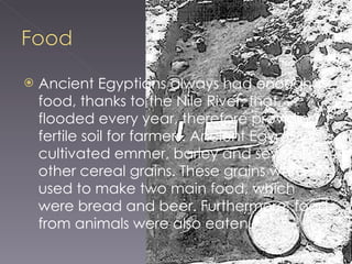 Ancient Egyptians always had enough food, thanks to the Nile River, that flooded every year, therefore providing fertile soil for farmers. Ancient Egyptians cultivated emmer, barley and several other cereal grains. These grains were used to make two main food, which were bread and beer. Furthermore, food from animals were also eaten. 