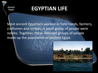 EGYPTIAN LIFE<br />Most ancient Egyptians worked as field hands, farmers, craftsmen and scribes. A small group of people w...