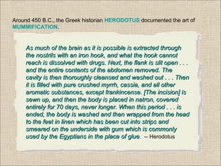 Around 450 B.C., the Greek historian HERODOTUS documented the art of
MUMMIFICATION.
As much of the brain as it is possible is extracted throughAs much of the brain as it is possible is extracted through
the nostrils with an iron hook, and what the hook cannotthe nostrils with an iron hook, and what the hook cannot
reach is dissolved with drugs. Next, the flank is slit open . . .reach is dissolved with drugs. Next, the flank is slit open . . .
and the entire contents of the abdomen removed. Theand the entire contents of the abdomen removed. The
cavity is then thoroughly cleansed and washed out . . . Thencavity is then thoroughly cleansed and washed out . . . Then
it is filled with pure crushed myrrh, cassia, and all otherit is filled with pure crushed myrrh, cassia, and all other
aromatic substances, except frankincense. [The incision] isaromatic substances, except frankincense. [The incision] is
sewn up, and then the body is placed in natron, coveredsewn up, and then the body is placed in natron, covered
entirely for 70 days, never longer. When this period . . . isentirely for 70 days, never longer. When this period . . . is
ended, the body is washed and then wrapped from the headended, the body is washed and then wrapped from the head
to the feet in linen which has been cut into strips andto the feet in linen which has been cut into strips and
smeared on the underside with gum which is commonlysmeared on the underside with gum which is commonly
used by the Egyptians in the place of glueused by the Egyptians in the place of glue.. -- Herodotus
 