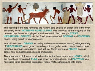 The flooding of the Nile rendered the narrow strip of land on either side of the river
extremely fertile. INTENSIVE AGRICULTURE was practiced by the majority of the
peasant population. who played a vital role within the country's STRICT
HIERARHICAL SOCIETY. As the flood waters receded, SOWING and PLOWING
began, using primitive wooden plows.
In addition to such GRAINS as barley and emmer (a coarse wheat), a large variety
of VEGETABLES were grown, including onions, garlic, leeks, beans, lentils, peas,
radishes, cabbage, cucumbers, and lettuce. There were also FRUITS such as
dates, figs, pomegranates, melons and grapes,
The abundance of flowers provided nectar for the bees to produce HONEY, which
the Egyptians processed. FLAX was grown for making linen, and PAPYRUS was
harvested to be converted into paper, ropes, mats, sandals and light skiffs.
 