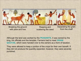 Breaking the ground
with plow and hoe
Reaping and
scattering the seed
Separating the grain
from the chaff
Although the land was worked by the PEASANTS, it was owned by the
king, his officials and the temples. Farmers had to meet GRAIN
QUOTAS, which were handed over to the owners as a form of taxation.
They were allowed to keep a portion of the crops for their own benefit. If
they did not produce the quantity expected, however, they were severely
punished.
 