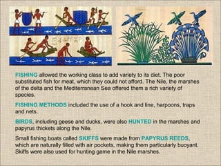 FISHING allowed the working class to add variety to its diet. The poor
substituted fish for meat, which they could not afford. The Nile, the marshes
of the delta and the Mediterranean Sea offered them a rich variety of
species.
FISHING METHODS included the use of a hook and line, harpoons, traps
and nets.
BIRDS, including geese and ducks, were also HUNTED in the marshes and
papyrus thickets along the Nile.
Small fishing boats called SKIFFS were made from PAPYRUS REEDS,
which are naturally filled with air pockets, making them particularly buoyant.
Skiffs were also used for hunting game in the Nile marshes.
 