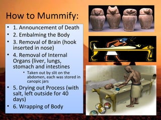 How to Mummify: 
• 1. Announcement of Death 
• 2. Embalming the Body 
• 3. Removal of Brain (hook 
inserted in nose) 
• 4. Removal of Internal 
Organs (liver, lungs, 
stomach and intestines 
• Taken out by slit on the 
abdomen, each was stored in 
canopic jars 
• 5. Drying out Process (with 
salt, left outside for 40 
days) 
• 6. Wrapping of Body 
 