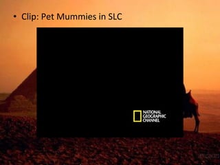 • Clip: Pet Mummies in SLC 
 