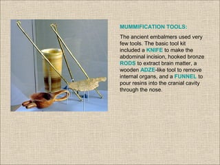 MUMMIFICATION TOOLS:
The ancient embalmers used very
few tools. The basic tool kit
included a KNIFE to make the
abdominal incision, hooked bronze
RODS to extract brain matter, a
wooden ADZE-like tool to remove
internal organs, and a FUNNEL to
pour resins into the cranial cavity
through the nose.
 