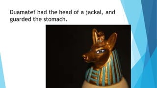 Duamatef had the head of a jackal, and
guarded the stomach.