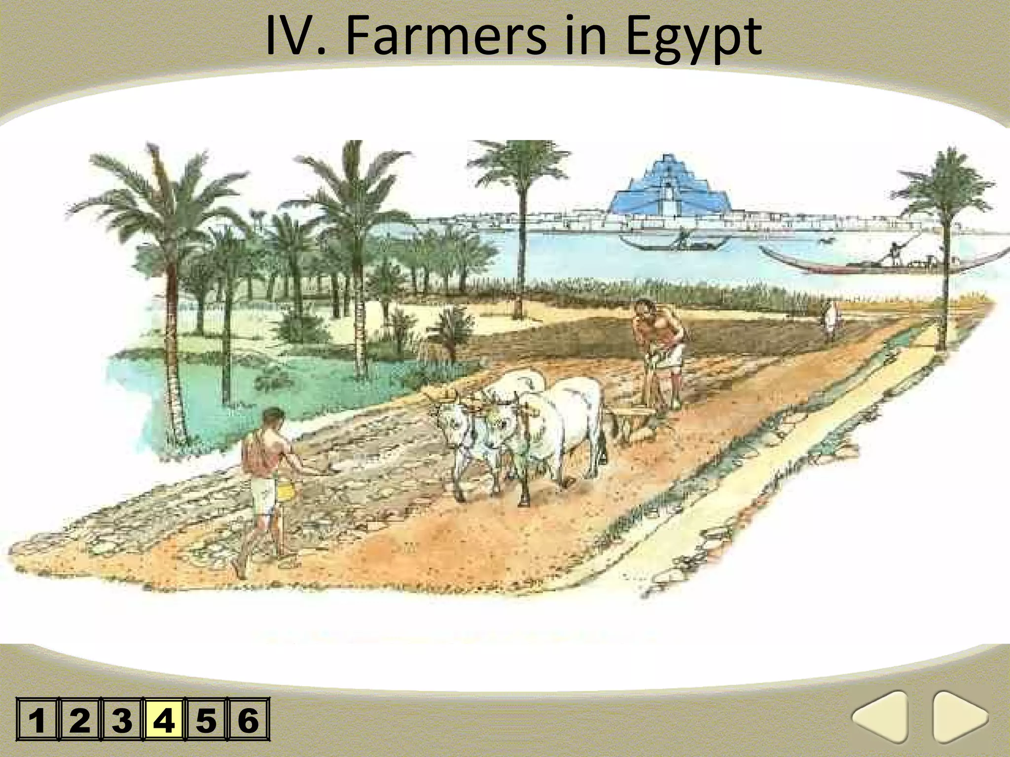 IV. Farmers in Egypt




1 2 3 4 5 6
 