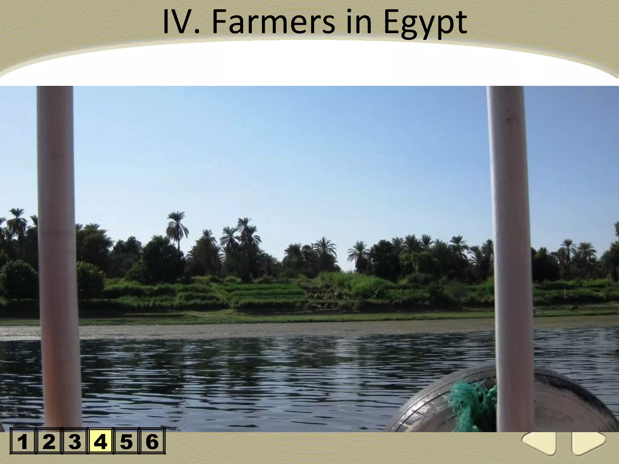 IV. Farmers in Egypt




1 2 3 4 5 6
 