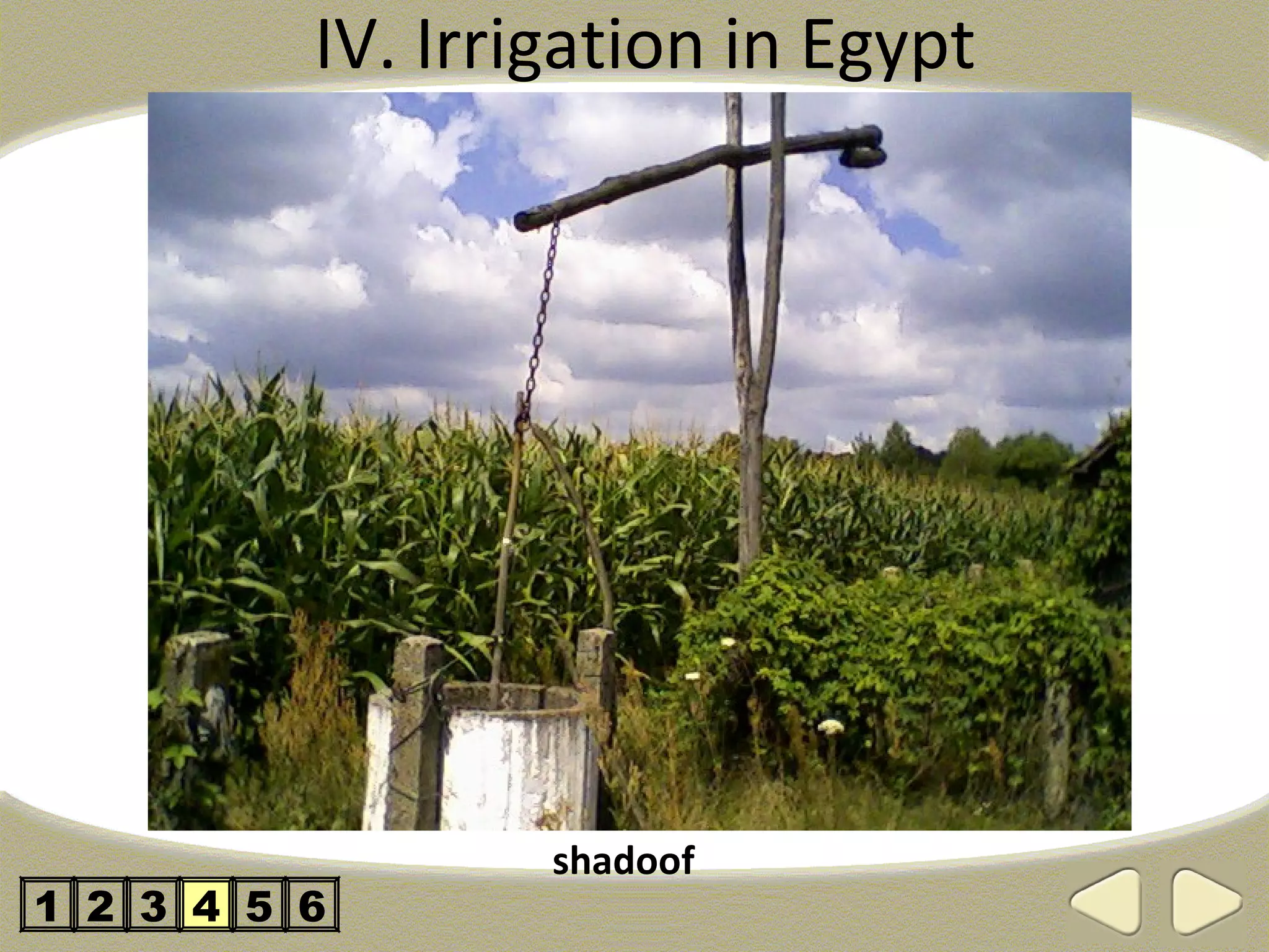 IV. Irrigation in Egypt




                  shadoof
1 2 3 4 5 6
 