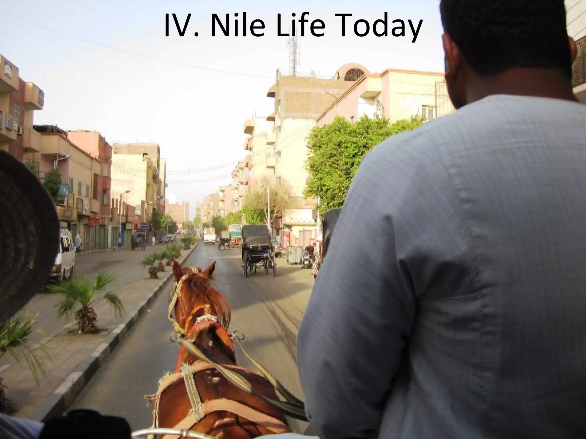 IV. Nile Life Today
 