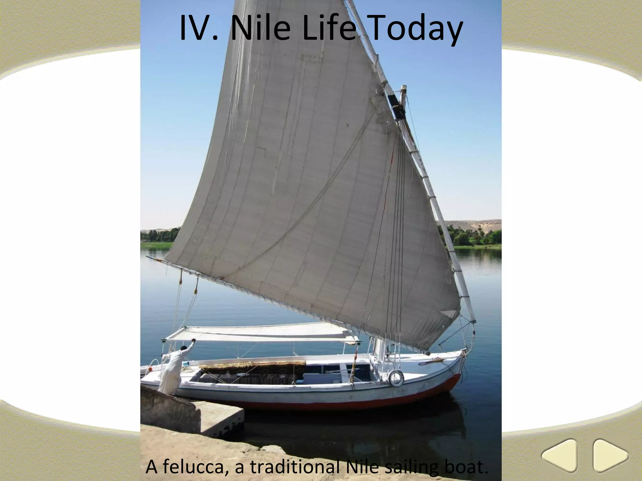 IV. Nile Life Today




A felucca, a traditional Nile sailing boat.
 