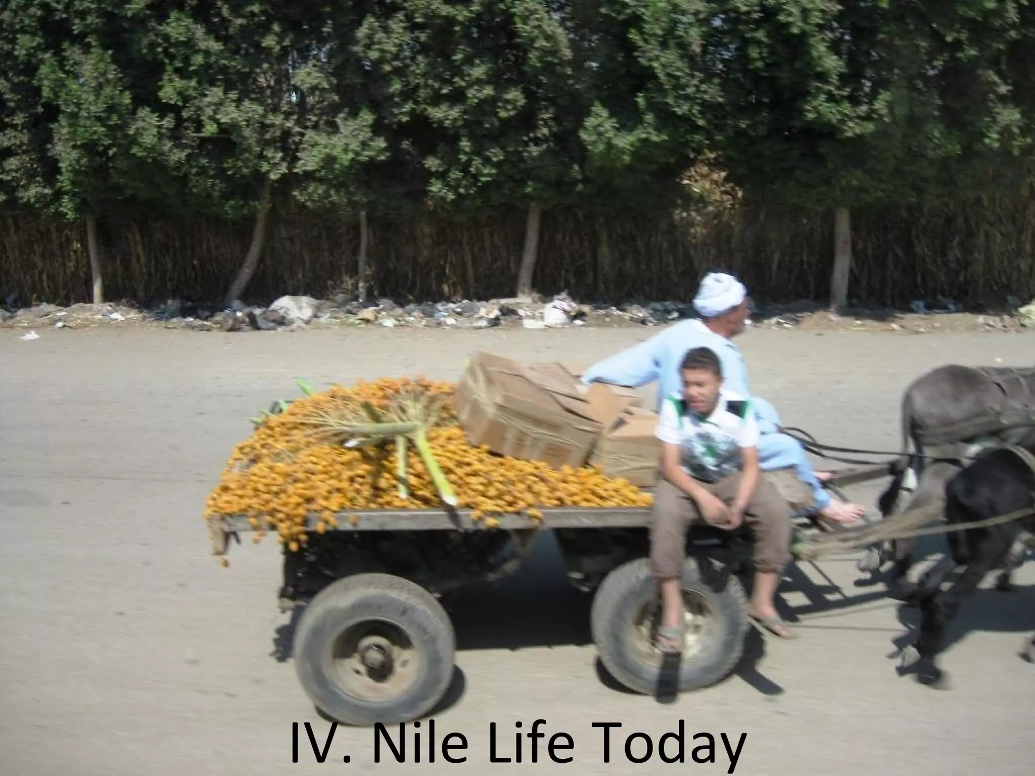 IV. Nile Life Today
 