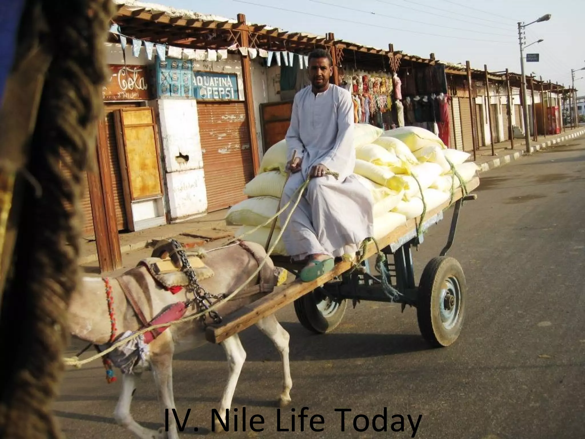 IV. Nile Life Today
 