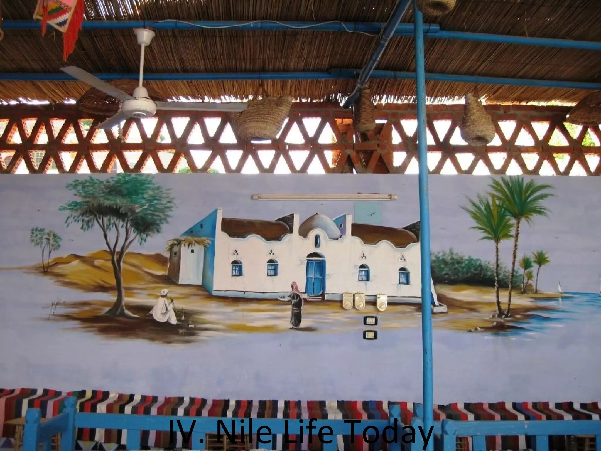 IV. Nile Life Today
 