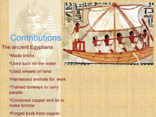 Contributions The ancient Egyptians: Made bricks Used sails on the water Used wheels on land Harnessed animals for  work Trained donkeys to carry people Combined copper and tin to make bronze Forged tools from copper. 