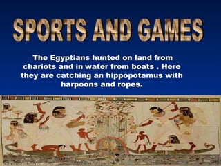 The Egyptians hunted on land from
 chariots and in water from boats . Here
they are catching an hippopotamus with
           harpoons and ropes.
 