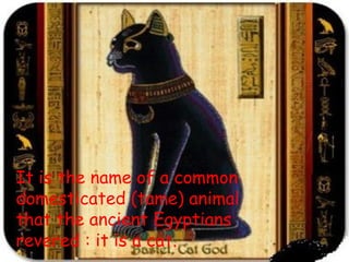 It is the name of a common
domesticated (tame) animal
that the ancient Egyptians
revered : it is a cat.
 