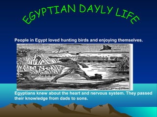 People in Egypt loved hunting birds and enjoying themselves.




Egyptians knew about the heart and nervous system. They passed
their knowledge from dads to sons.
 