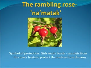 Symbol of protection. Girls made beads – amulets from
  this rose’s fruits to protect themselves from demons.
 