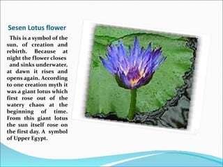 Sesen Lotus flower
 This is a symbol of the
sun, of creation and
rebirth. Because at
night the flower closes
 and sinks underwater,
at dawn it rises and
opens again. According
to one creation myth it
was a giant lotus which
first rose out of the
watery chaos at the
beginning of time.
From this giant lotus
the sun itself rose on
the first day. A symbol
of Upper Egypt.
 
