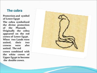 The cobra
Protection and symbol
of Lower Egypt
The cobra symbolized
the divine protection
of the Pharaoh.
Originally the cobra
appeared on the red
crown of Lower Egypt.
When two Lands were
united,    their   two
crowns    were     also
united. The red
crown combined with
the white crown of
Upper Egypt to become
 the double crown.
 
