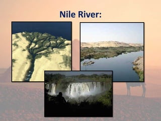 Nile River:
 