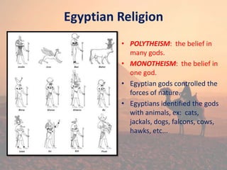 Egyptian Religion
• POLYTHEISM: the belief in
many gods.
• MONOTHEISM: the belief in
one god.
• Egyptian gods controlled the
forces of nature.
• Egyptians identified the gods
with animals, ex: cats,
jackals, dogs, falcons, cows,
hawks, etc...
 