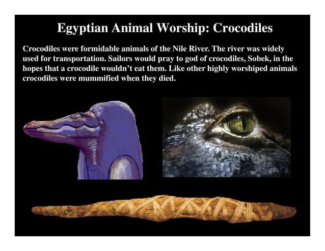 THE SACRED TRADITION IN ANCIENT EGYPT PDF visual data 5