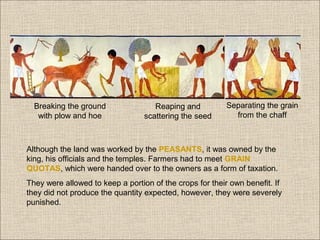 Breaking the ground
with plow and hoe

Reaping and
scattering the seed

Separating the grain
from the chaff

Although the land was worked by the PEASANTS, it was owned by the
king, his officials and the temples. Farmers had to meet GRAIN
QUOTAS, which were handed over to the owners as a form of taxation.
They were allowed to keep a portion of the crops for their own benefit. If
they did not produce the quantity expected, however, they were severely
punished.

 
