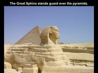 The Great Sphinx stands guard over the pyramids.
 