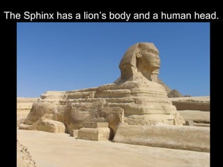 The Sphinx has a lion’s body and a human head.
 