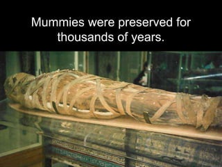Mummies were preserved for
thousands of years.
 