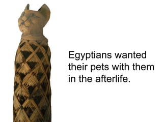 Egyptians wanted
their pets with them
in the afterlife.
 