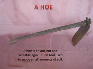 Digging Stick
The earliest ploughs were digging sticks
decorated with handles for pulling or
pushing.
 